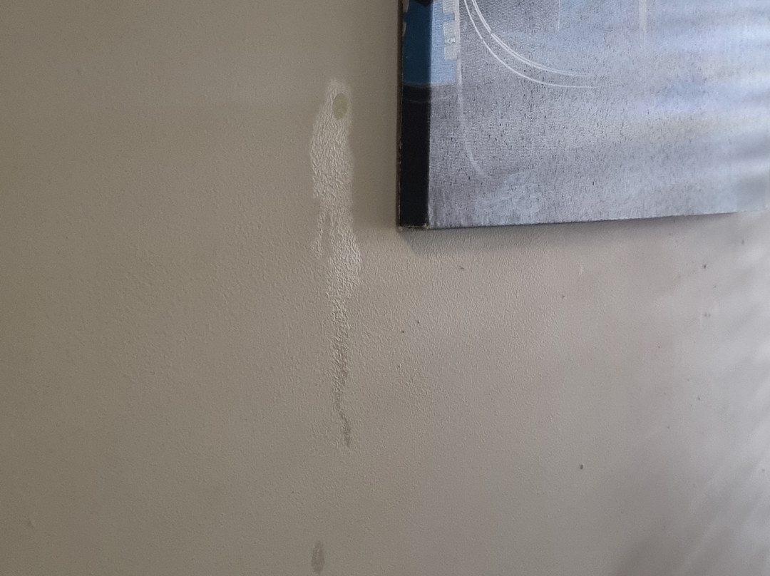 Cosmopolitan Motel & Serviced Apts主图