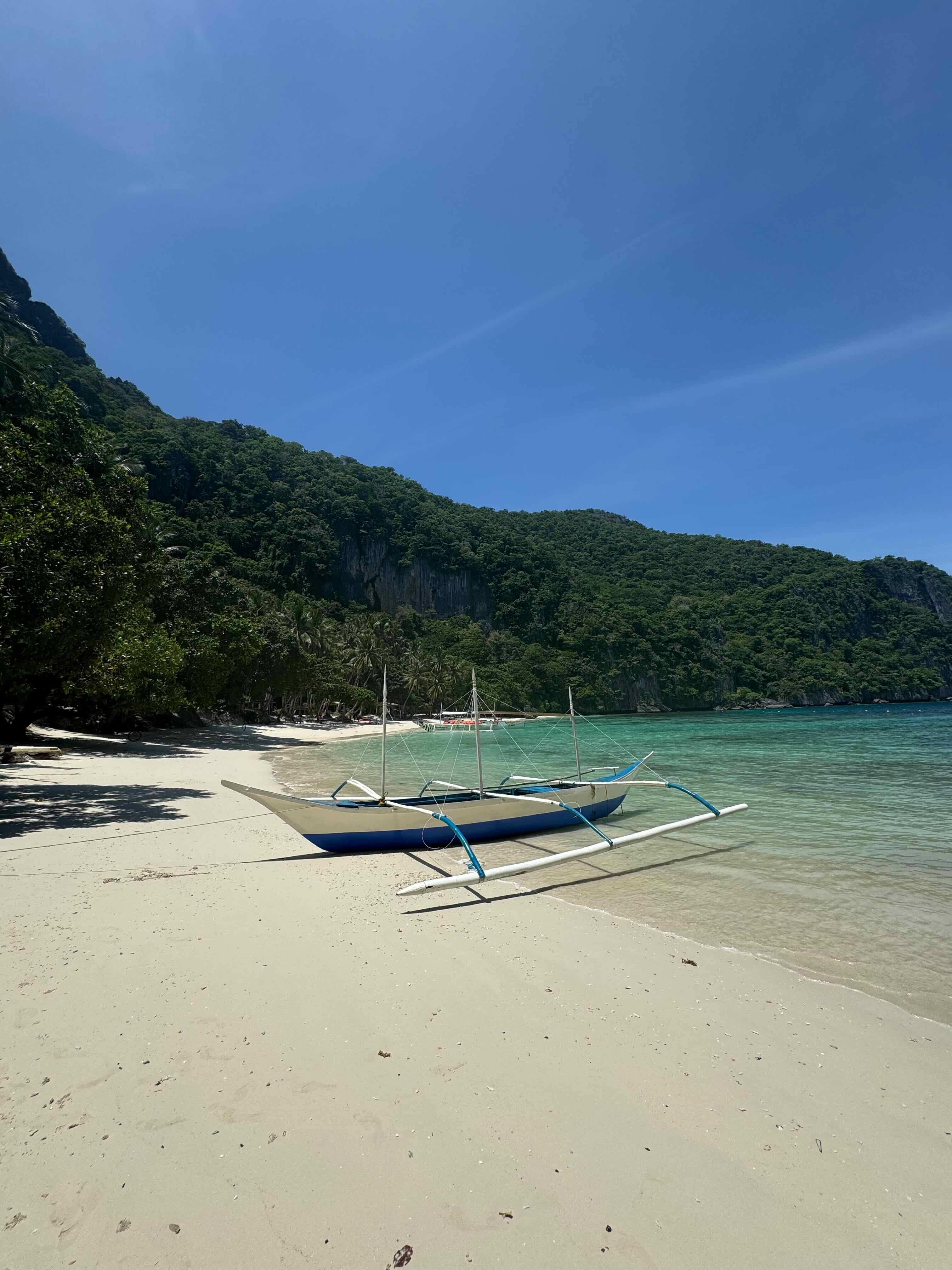 The Funny Lion El Nido-泳池