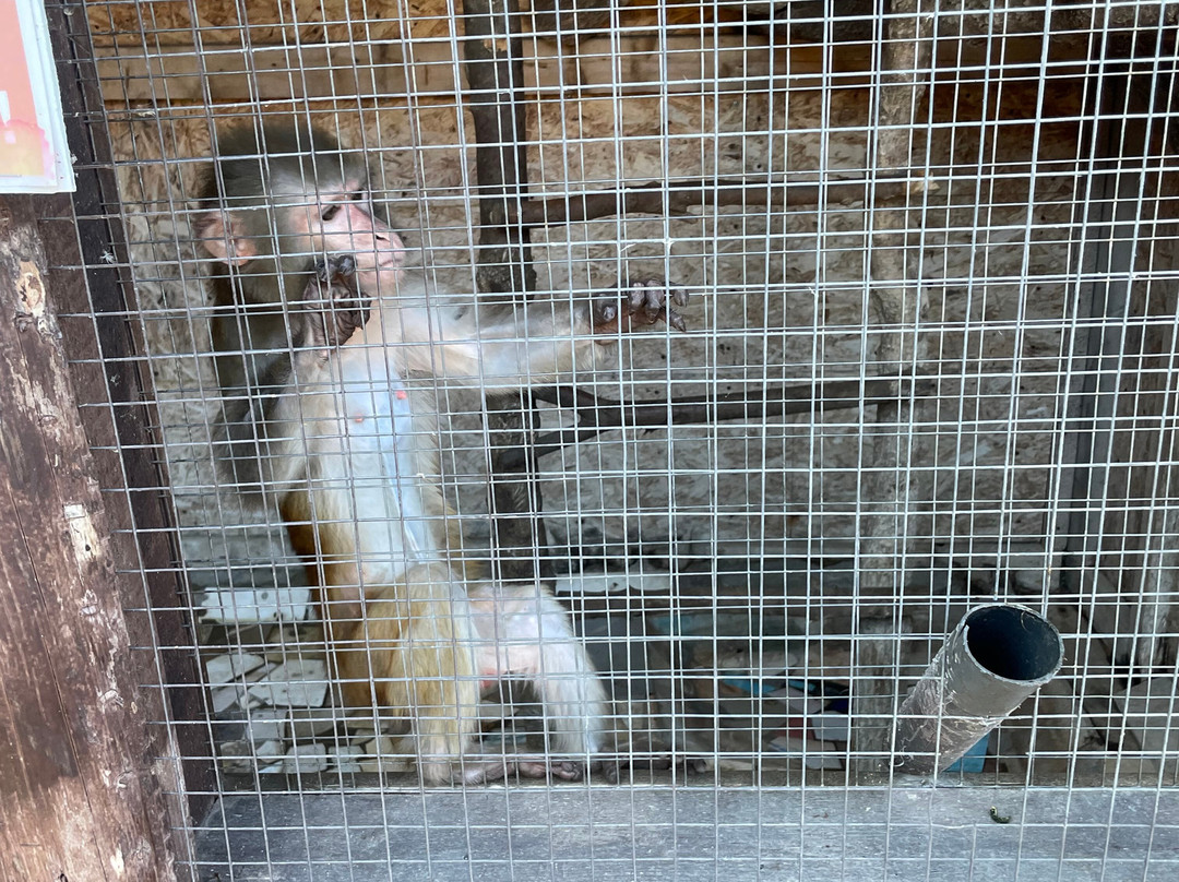 Dom Malysha Yenota-Golubitskaya必去景点