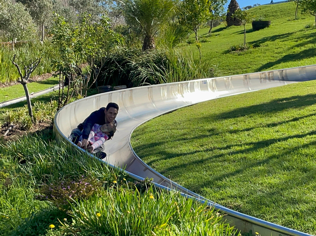 Cool Runnings-Bellville必去景点