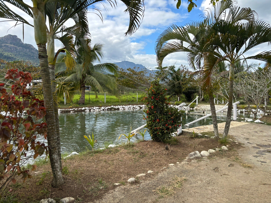 Tifajek Mud Pool Hot Spring And Tours-Votualevu必去景点