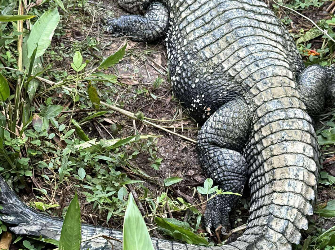 Zoo de Guyane-Macouria必去景点