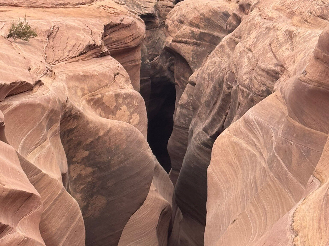 Wild Expeditions-布拉夫必去景点