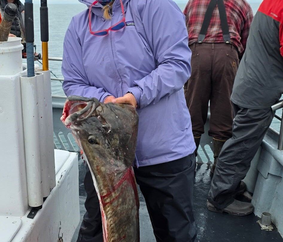 North Country Charters-荷马必去景点