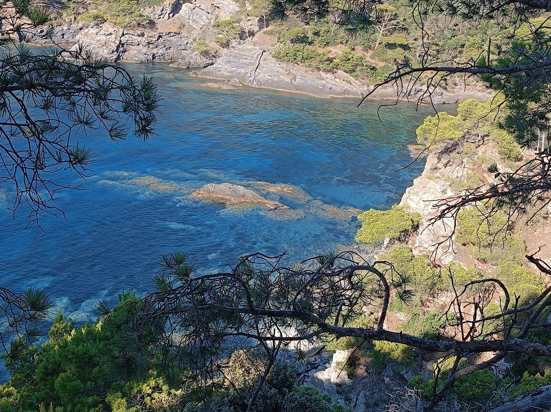 Giens Peninsula-Giens必去景点