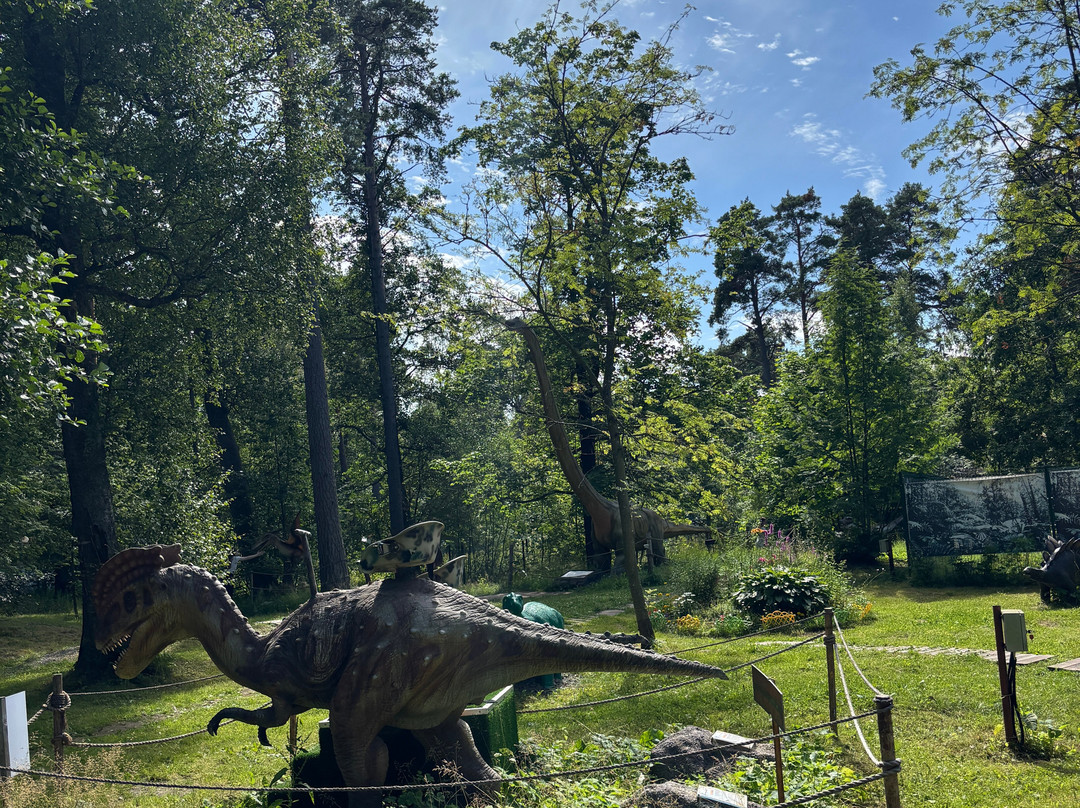 Zelenogorsk Recreation Park-泽列诺戈尔斯克必去景点