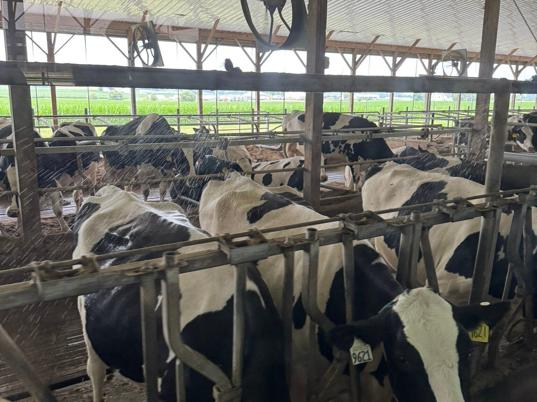 Kreider Farms-Manheim必去景点