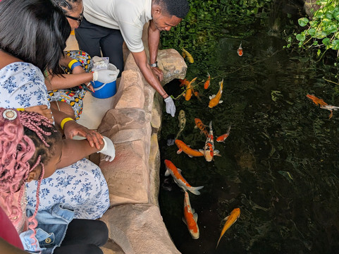 Tourpedia Travel-阿克拉必去景点