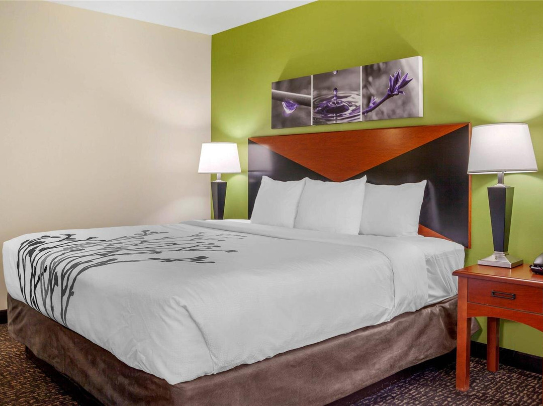 Sleep Inn & Suites Airport