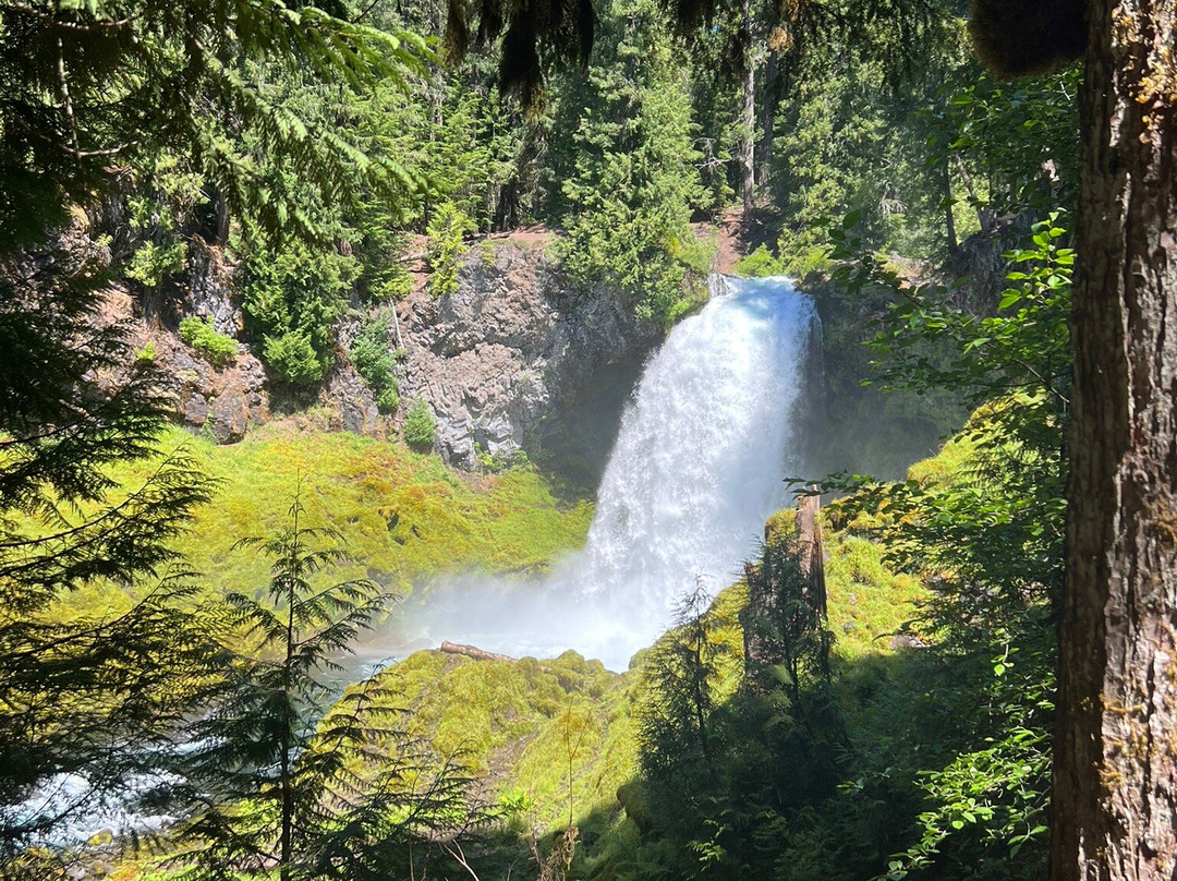 Sahalie and Koosah Falls-Sisters必去景点