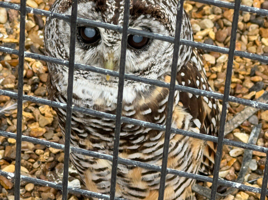 Herring Green Activity Farm-贝德福德必去景点