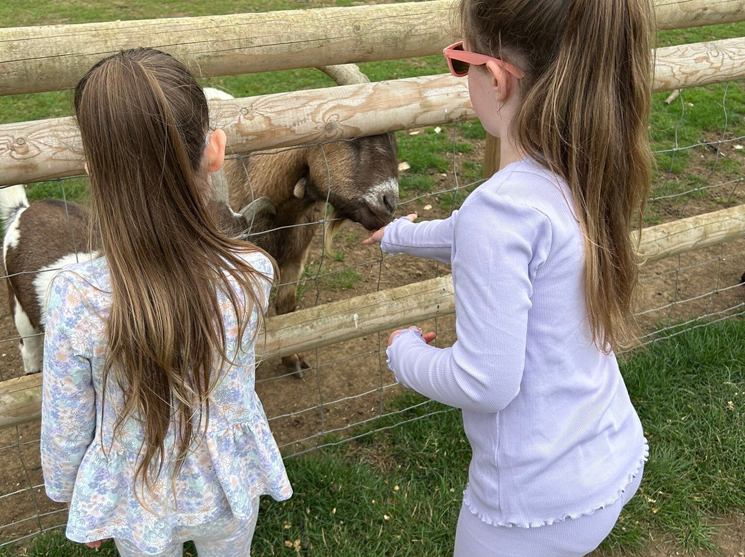 圣诞树农场-布罗姆利必去景点