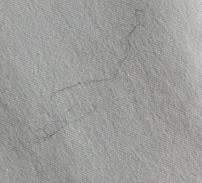 The Sebel Twin Towns Coolangatta-客卧