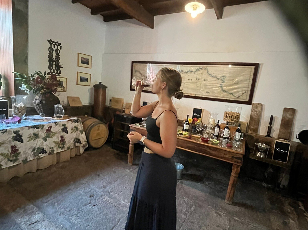 Quinta da Casa Amarela-Lamego必去景点