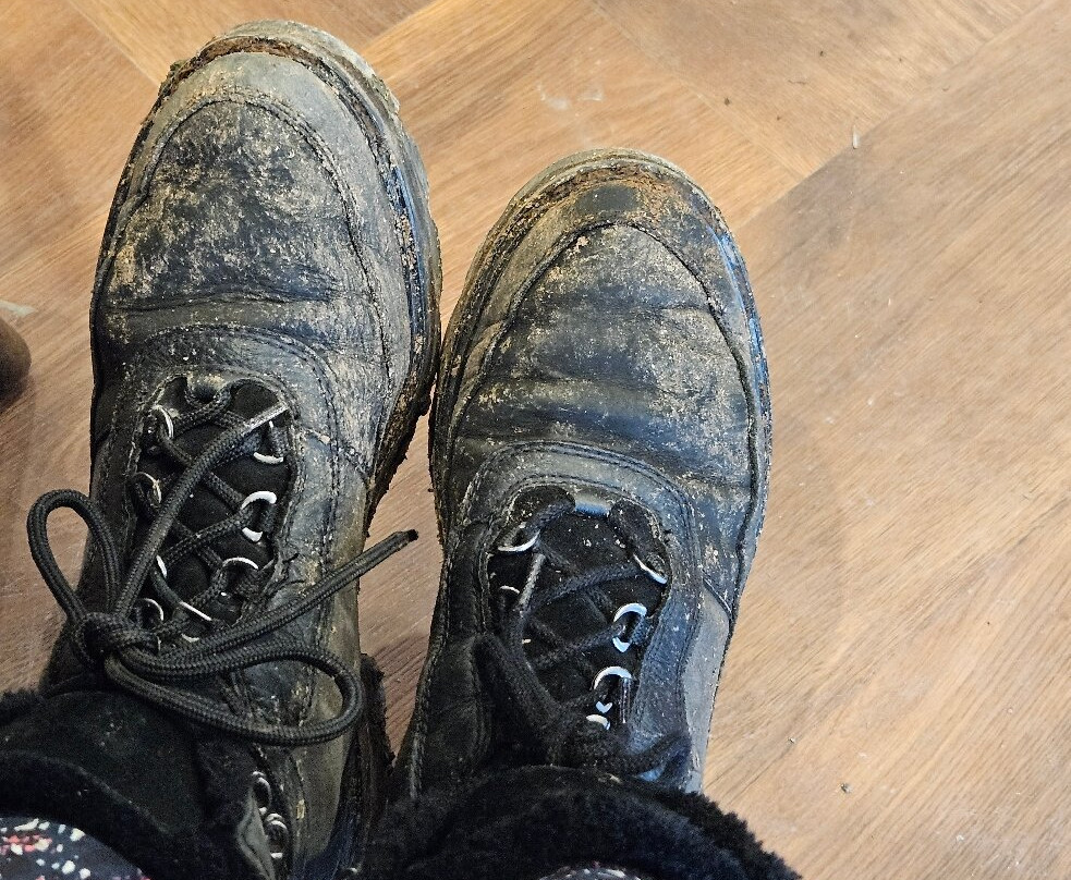 Go Ape Glentress Forest, Peebles-皮布尔斯必去景点