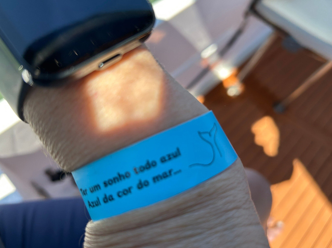 Maremar Turismo-伊利亚贝拉必去景点