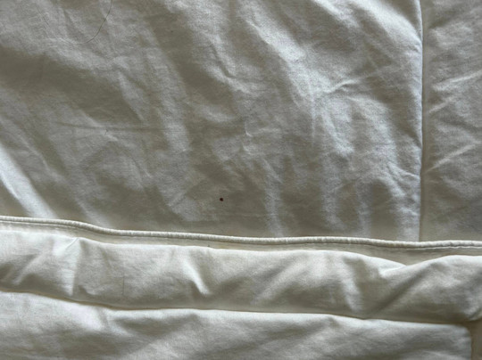 Quality Inn Seymour I-65主图