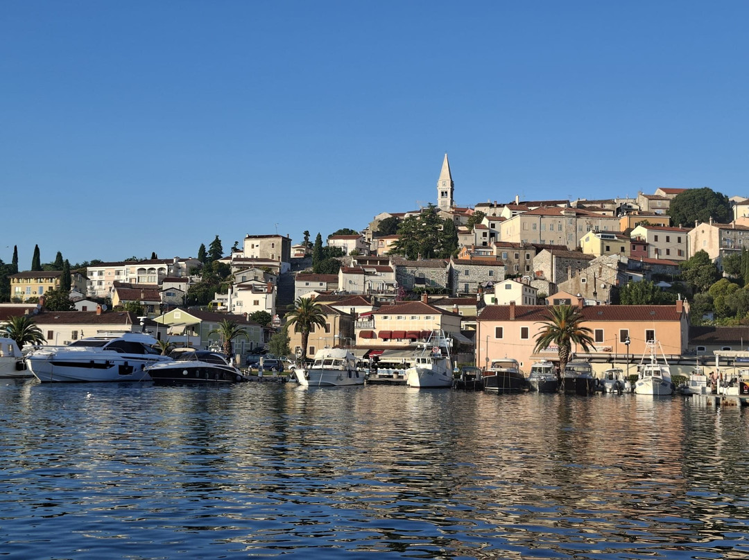 Istra Speed Boat Rental & Adventures-弗萨必去景点