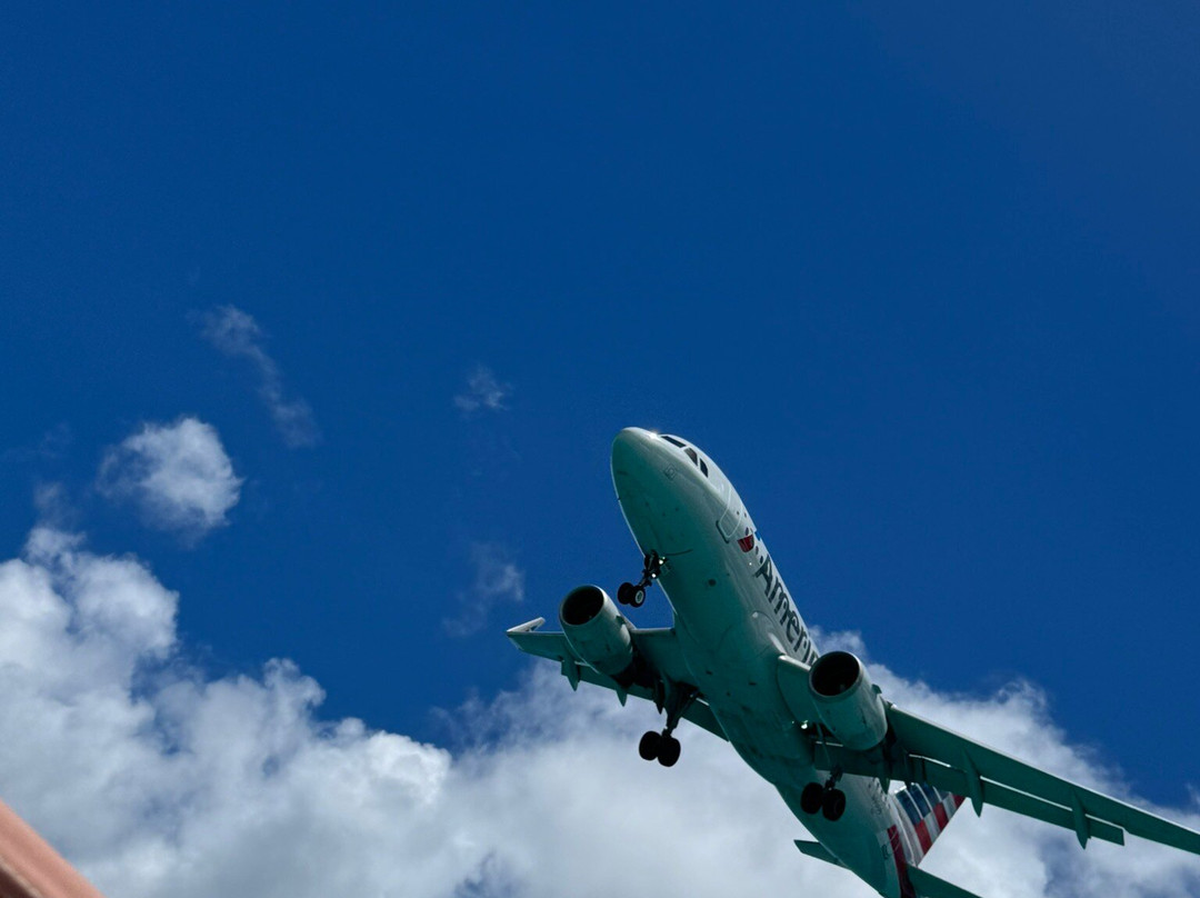 Billy Bones Boatcharters-辛普森湾必去景点