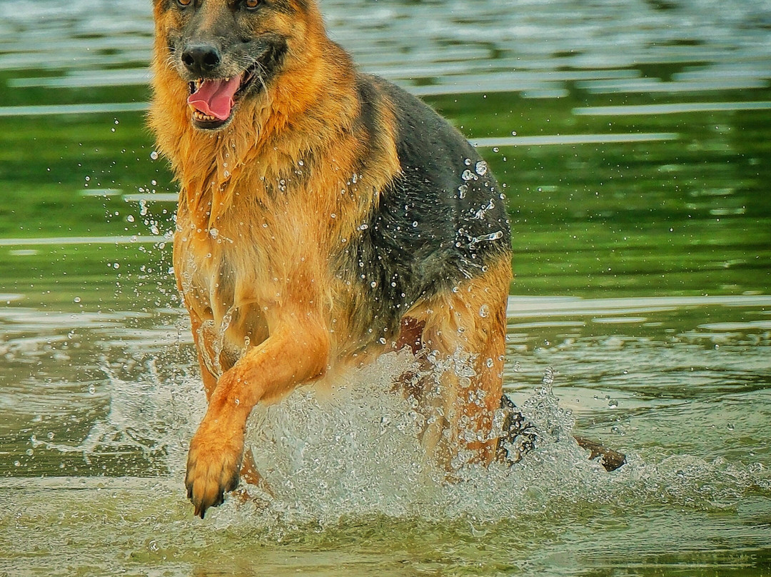 Zilvermeer-Mol必去景点