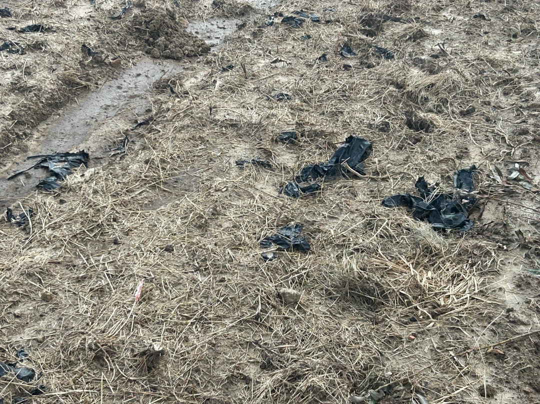 Cueillette de Servigny