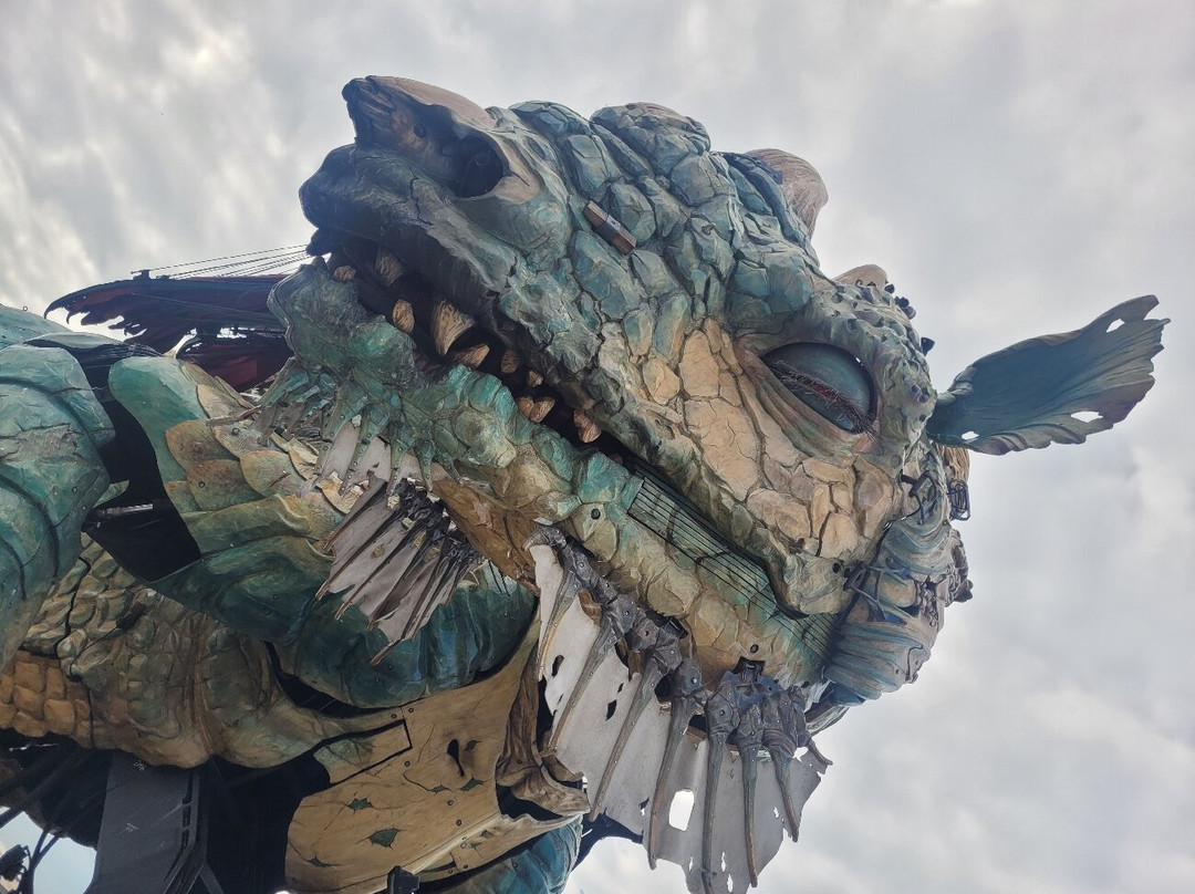 Compagnie du Dragon-加莱必去景点