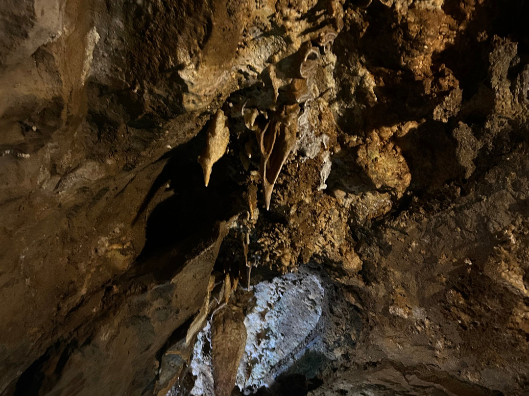 Lost River Caverns-Hellertown必去景点