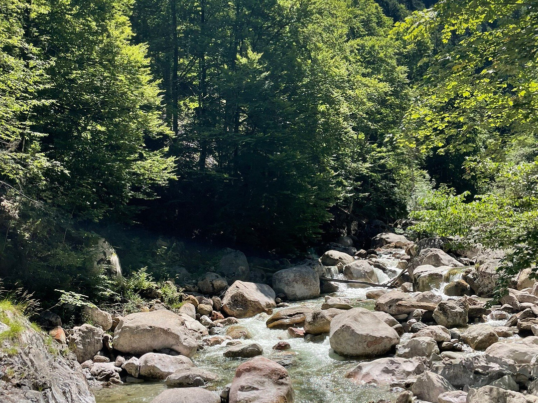 Garnitzenklamm-Gortschach必去景点