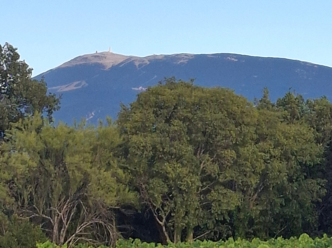 Domaine le Puy du Maupas主图