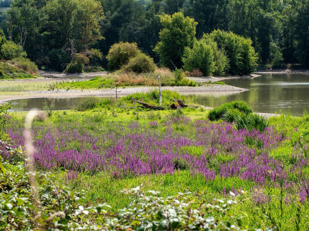 La Boire des Carrés-Saint-Remy-en-Rollat必去景点