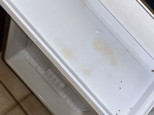 Best Western Plus Strawberry Inn & Suites主图