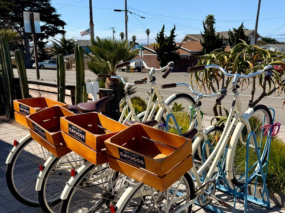 The Pacific Motel主图