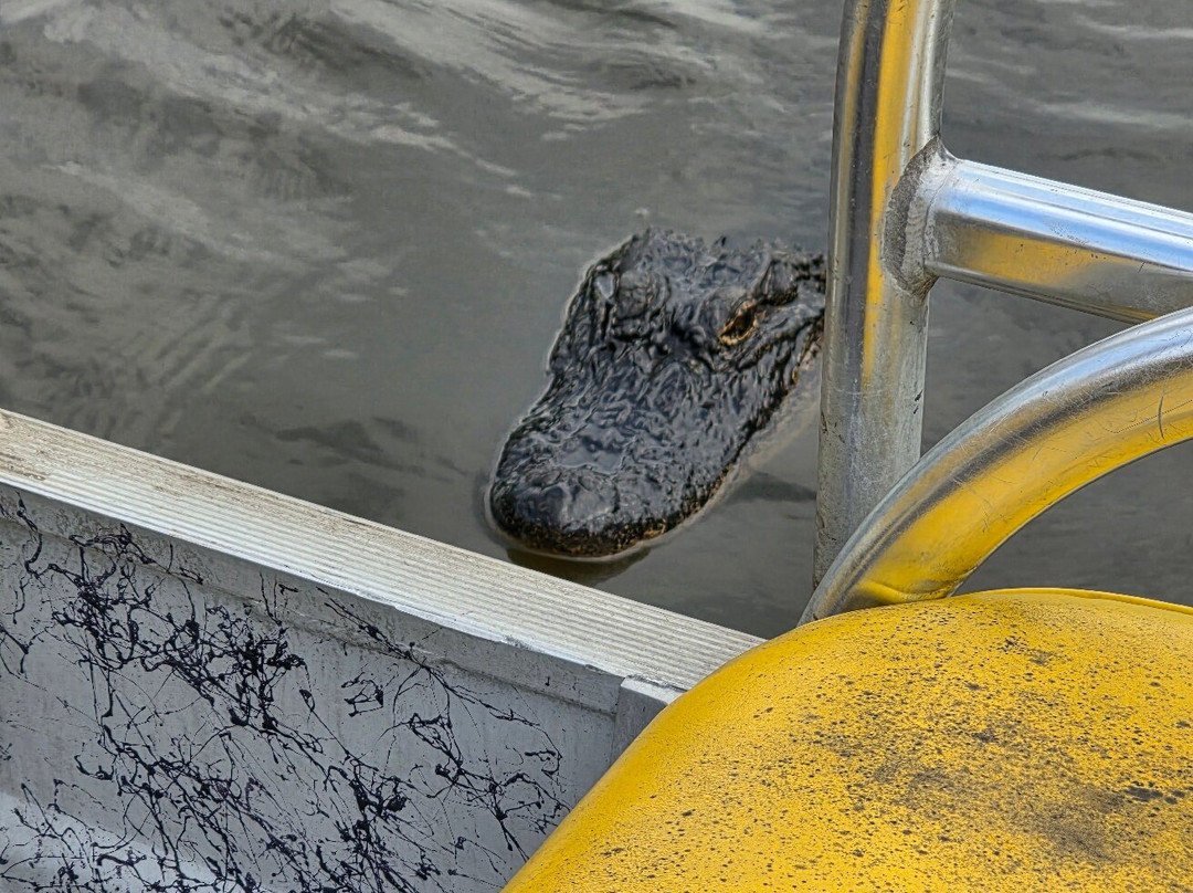 Ultimate Swamp Adventures-Westwego必去景点