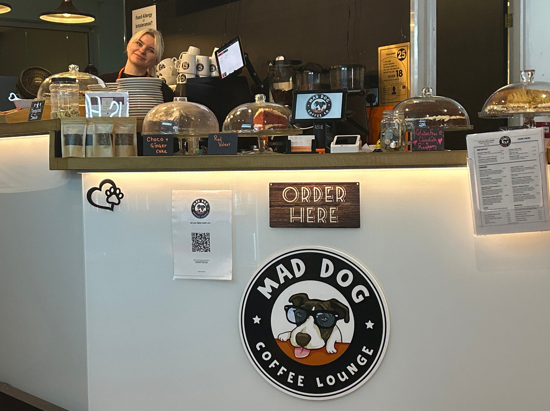 Mad Dog Coffee Lounge