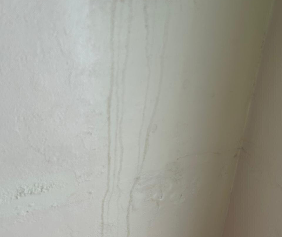 Vilu Thari Inn Maldives主图