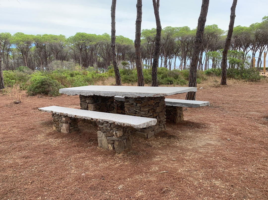 Spiaggia Li Cuppulati-Budoni必去景点