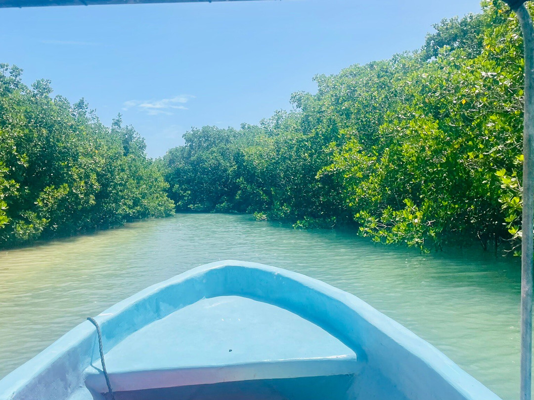 Parque Natural Ria Lagartos-里奥拉加托斯必去景点