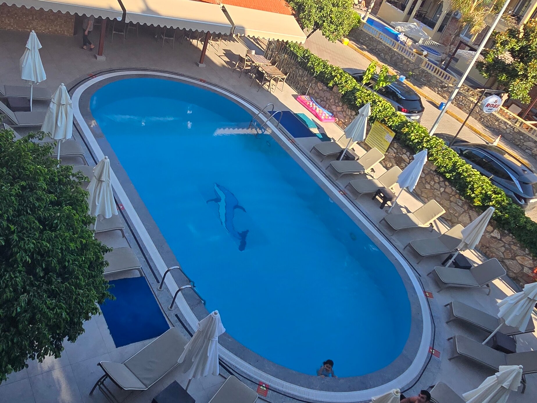 Rose Apartments-官方