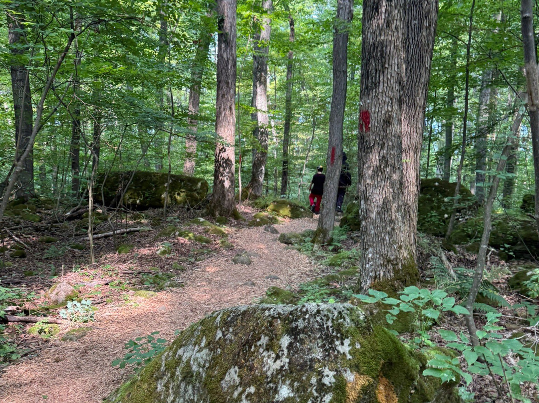 Greig's Caves-布鲁斯半岛必去景点