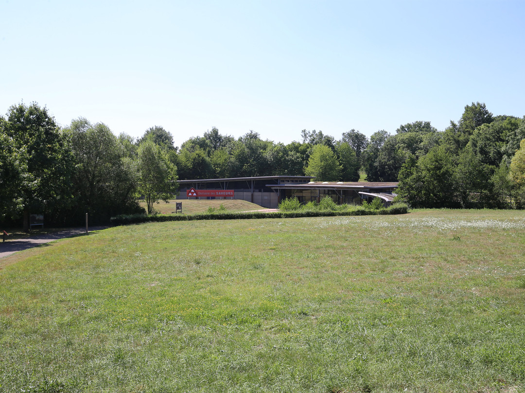 Domaine des Saveurs - Les Planons-Saint-Cyr-sur-Menthon必去景点