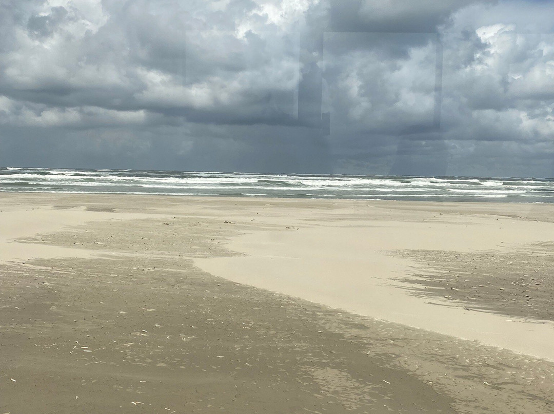 Strandbus Terschelling-Oosterend必去景点