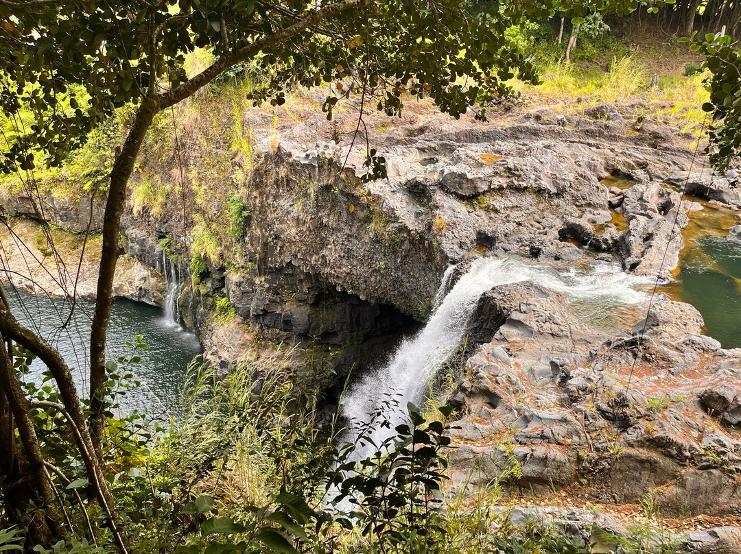 O.k. Farms (the Farm At Rainbow Falls)