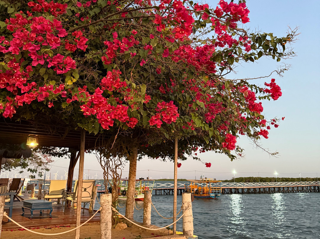 Pousada Peixe Galo主图