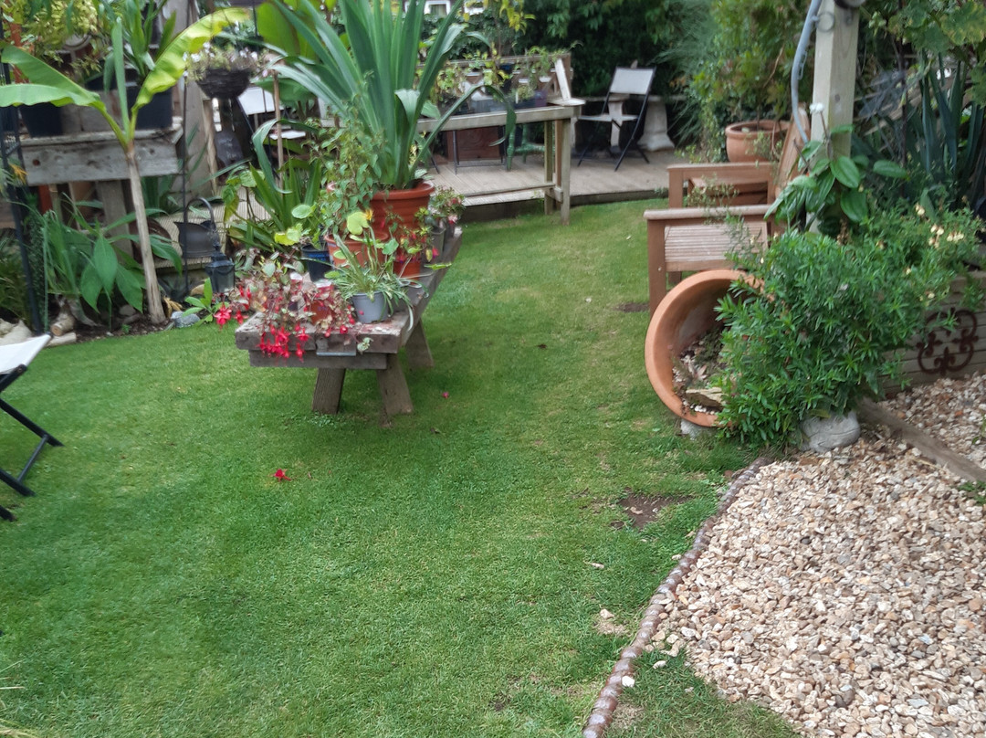 Muddy Patches-Abbotsbury必去景点