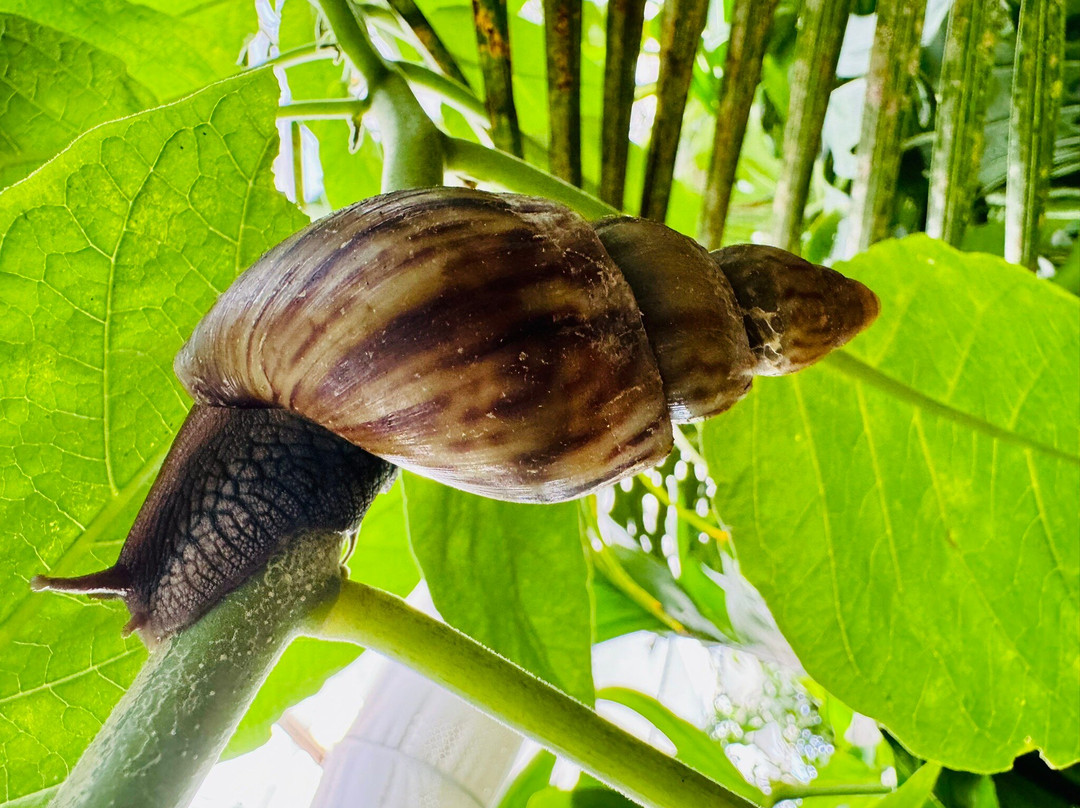 Casa delle Farfalle-Milano Marittima必去景点