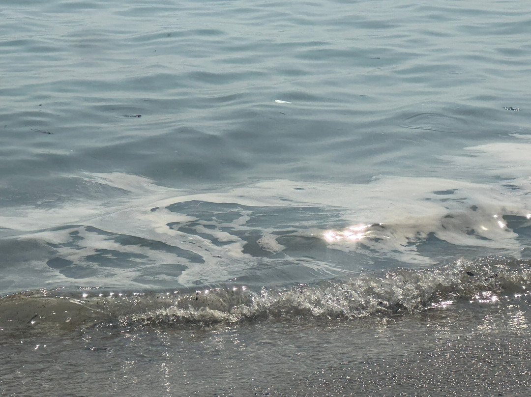 Playa Del Dossel-库列拉必去景点