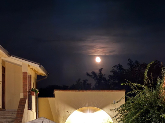 Agriturismo Punta dei Lecci主图