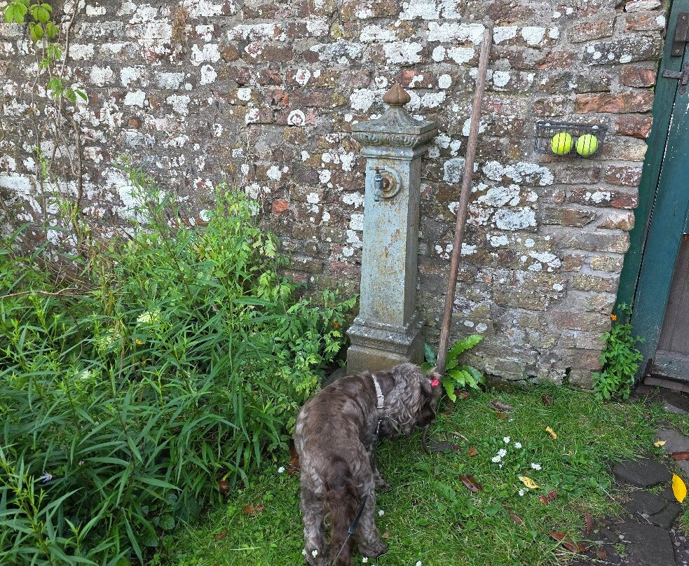 Langley Park Gardens-Montrose必去景点