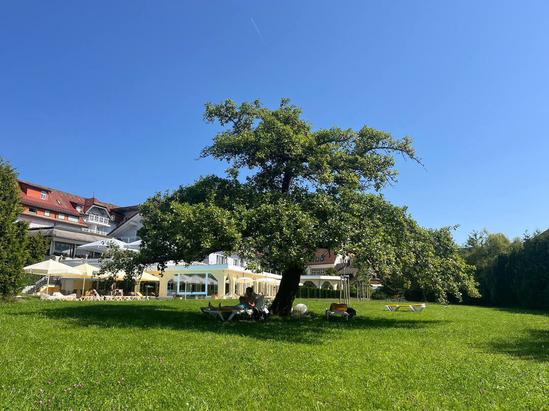 Möhringers Schwarzwald Hotel主图