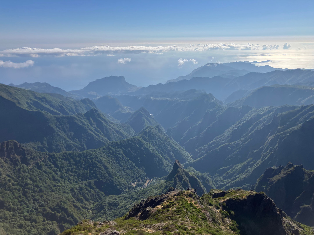 Nature Express Tours-Camara De Lobos必去景点